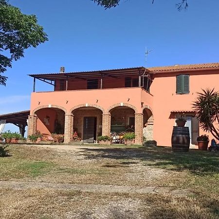 Agriturismo Marruchetone Vecchio Манчіано Екстер'єр фото