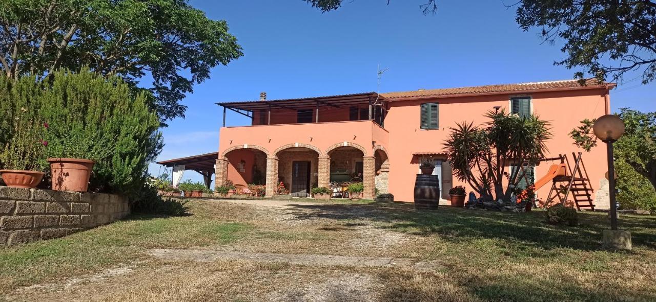 Agriturismo Marruchetone Vecchio Манчіано Екстер'єр фото