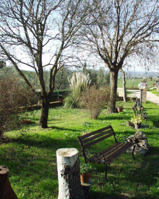 Agriturismo Marruchetone Vecchio Манчіано Екстер'єр фото