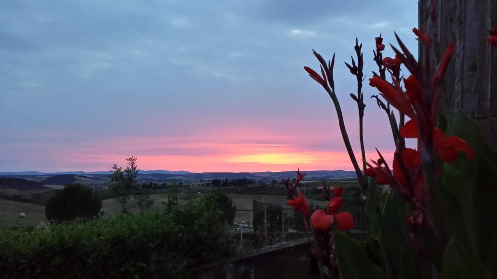 Agriturismo Marruchetone Vecchio Манчіано Екстер'єр фото