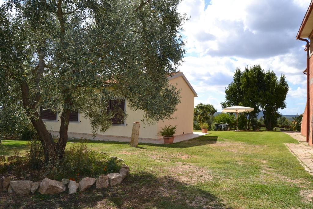 Agriturismo Marruchetone Vecchio Манчіано Екстер'єр фото